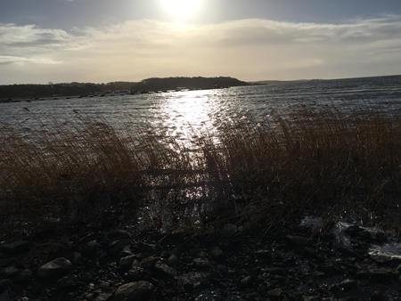 photo_twentyfour